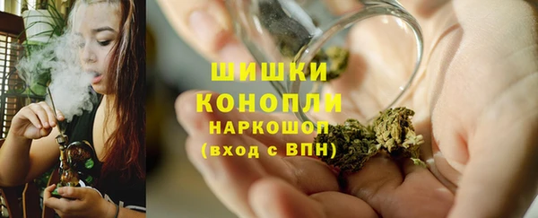 молекула духа Вязьма