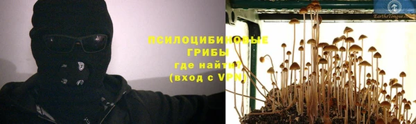 молекула духа Вязьма