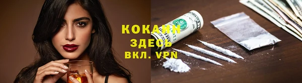 молекула духа Вязьма