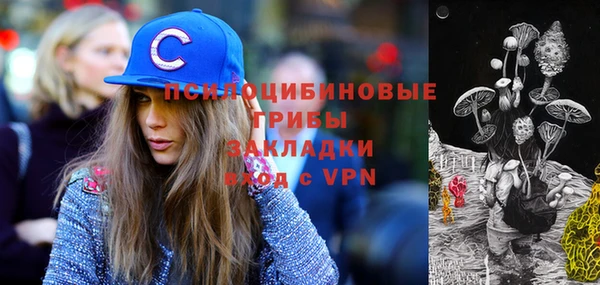 молекула духа Вязьма