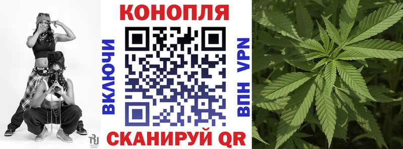 где найти Старый Оскол Бошки марихуана MAZAR